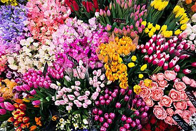 使命召唤18先锋加速器哪个好？好用的加速器 免费加速器推荐