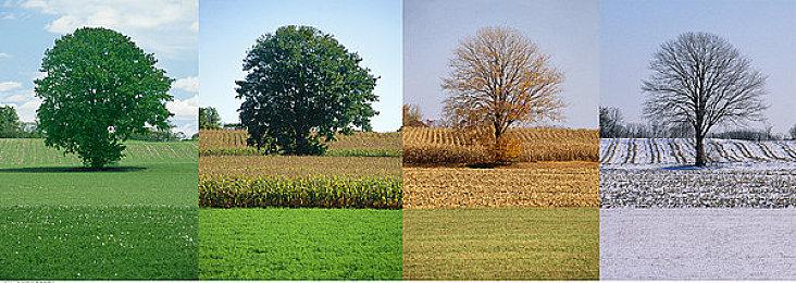 新游ARPG《来自深渊 朝向黑暗的双星》确定今秋发售